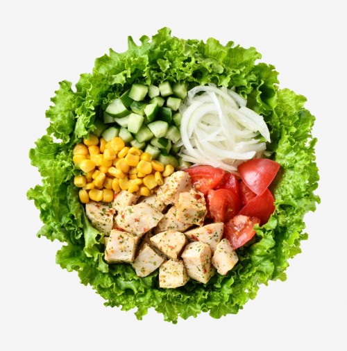 허브 치킨과 채색 야채의 샐러드